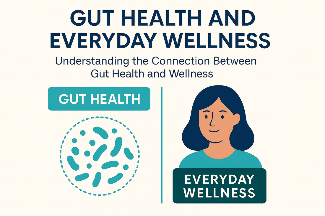 Gut Health and Everyday Wellness