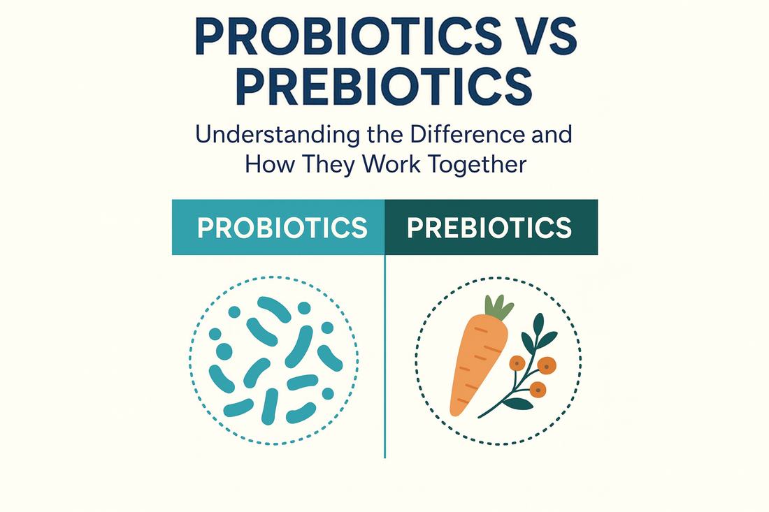 Probiotics vs Prebiotics: Understanding the Differences and How They Work Together